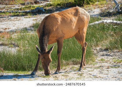 BTV体育频道高清在线直播观看指南