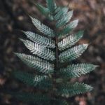 BD开奖号码最新公布结果查询 79g10tu2