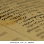 btv生活频道高清在线直播观看入口 8cpx13838e