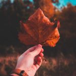 红运娱乐的多样选择,满足你不同的娱乐需求 rznc0mv