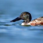 《东方时空》今晚8点直播特别节目即将开启 m571z2n