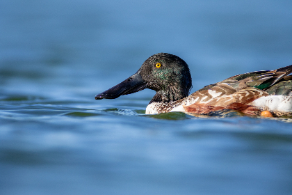 《东方时空》今晚8点直播特别节目即将开启