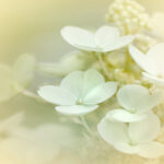 《中国好声音第三季》震撼直播现场全程回顾 vgw4ul