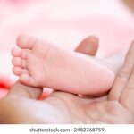 《东方直播室》在线观看高清直播入口 zhs01fw